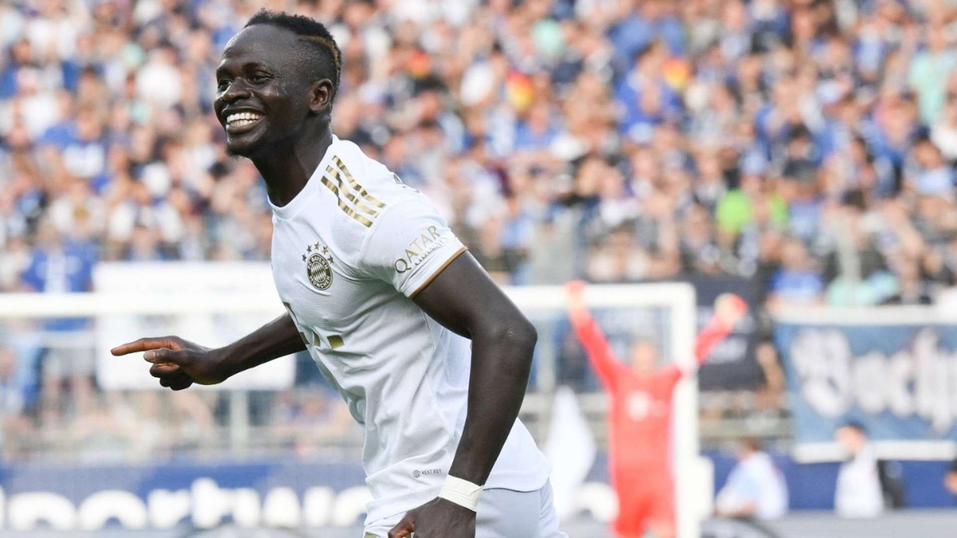 我们不仅能 我们不仅能