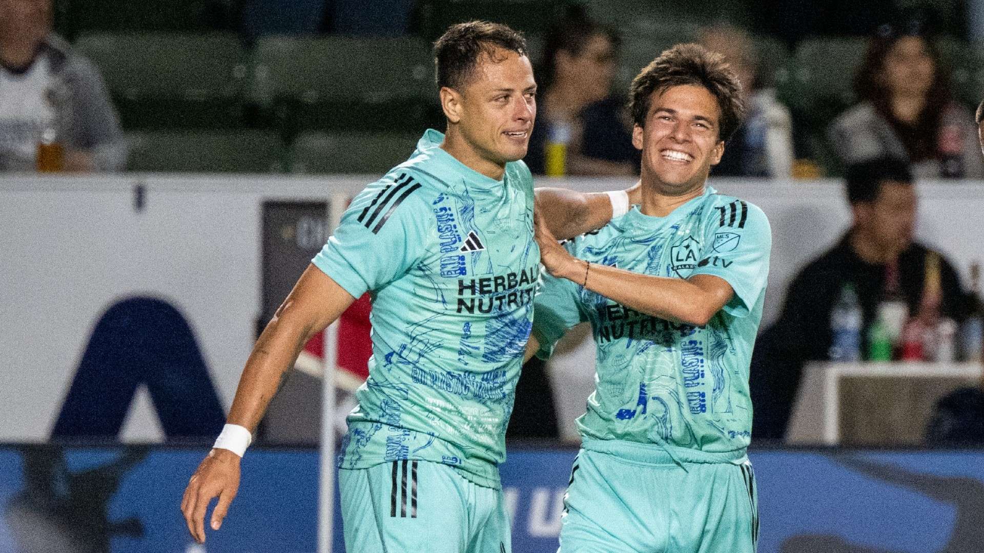 在全球范围 在全球范围