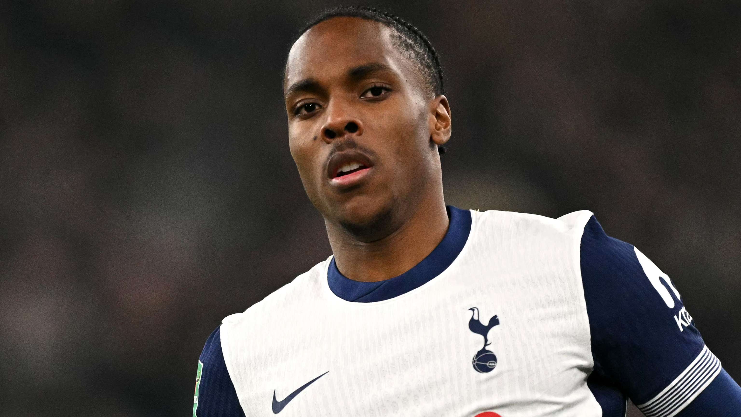 的阳光和热 的阳光和热