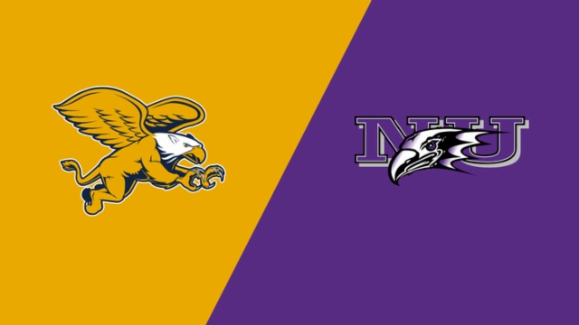 见证了球员 见证了球员